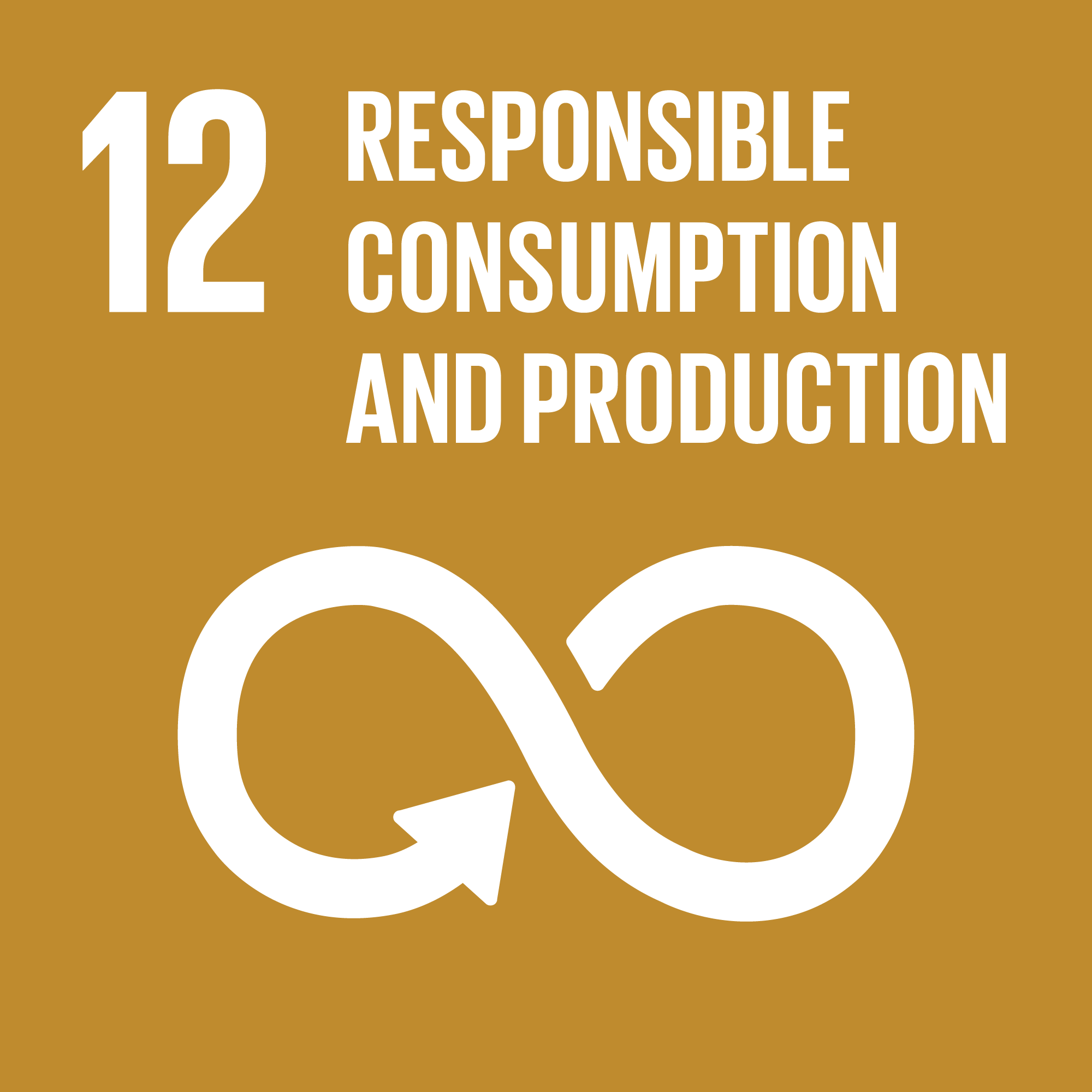 12 : Responsible Consumption And Production